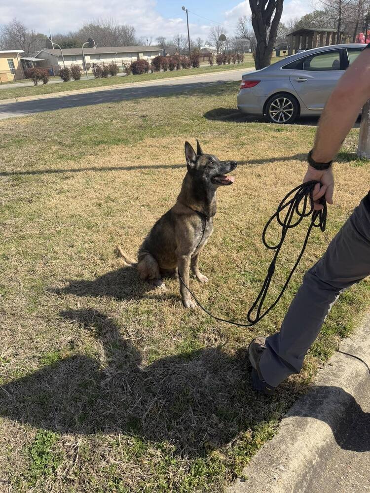 Clyde- Located in Oklahoma - Photo 3