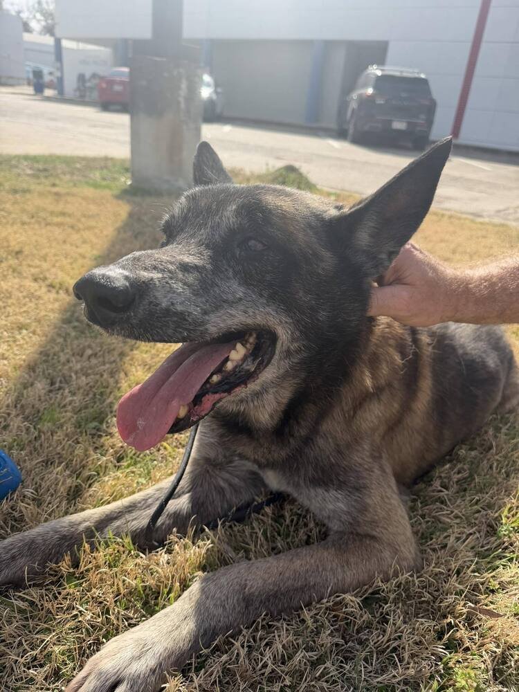 Clyde- Located in Oklahoma - Photo 4