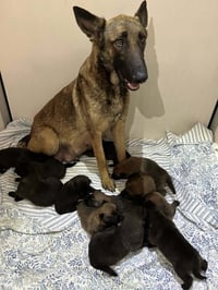 Lodi- located in CA - Photo 2