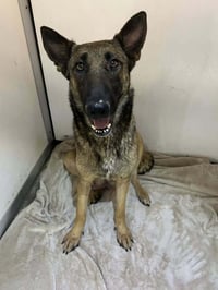 Lodi- located in CA - Photo 3