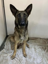 Lodi- located in CA - Photo 4