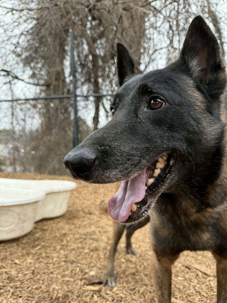 Deputy - Located in Tennessee - Photo 3