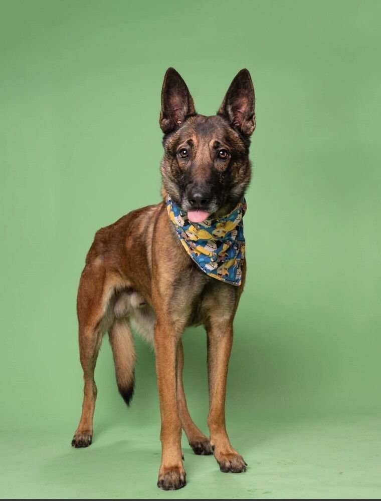 Gary - Located in Florida - Photo 3