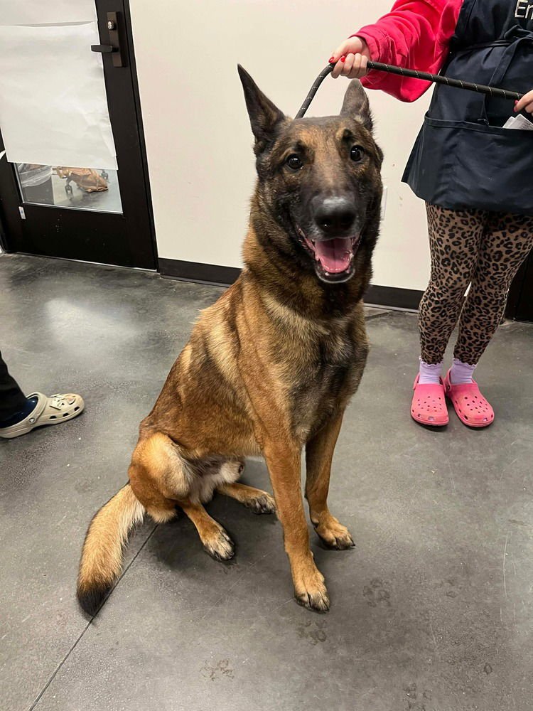 Gary - Located in Florida - Photo 4