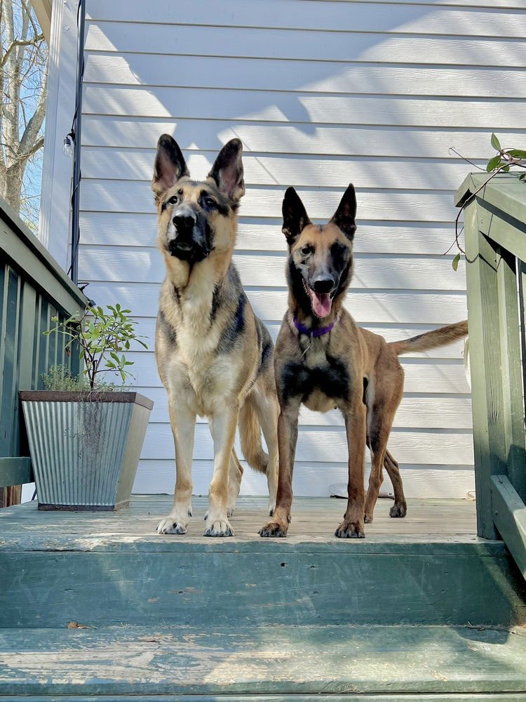 Priscilla - Located in Georgia - Photo 3