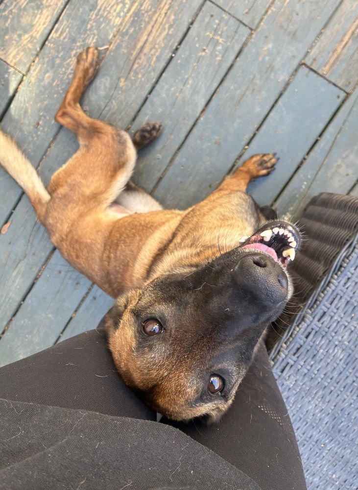 Priscilla - Located in Georgia - Photo 4