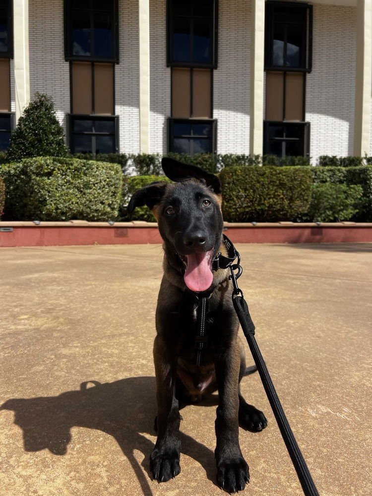 Thorn - Located in Florida - Photo 3