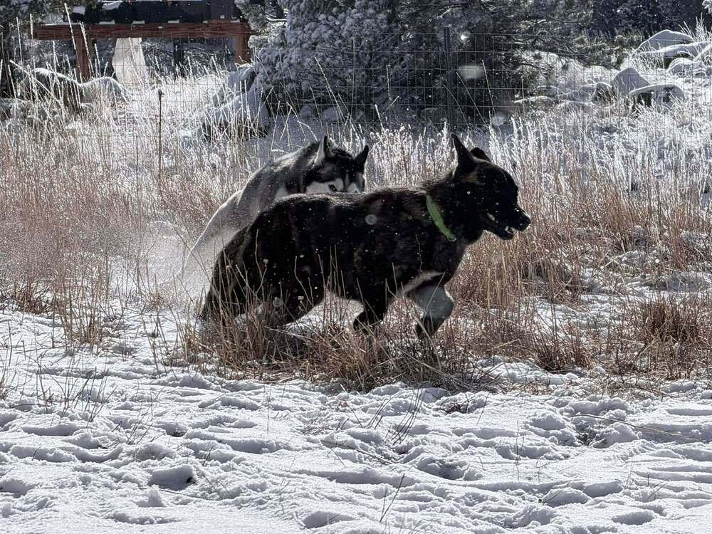 Shaka FKA Oakley in CO - Photo 3