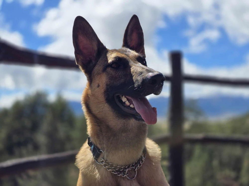 Sadie FKA Crater in CO - Photo 3