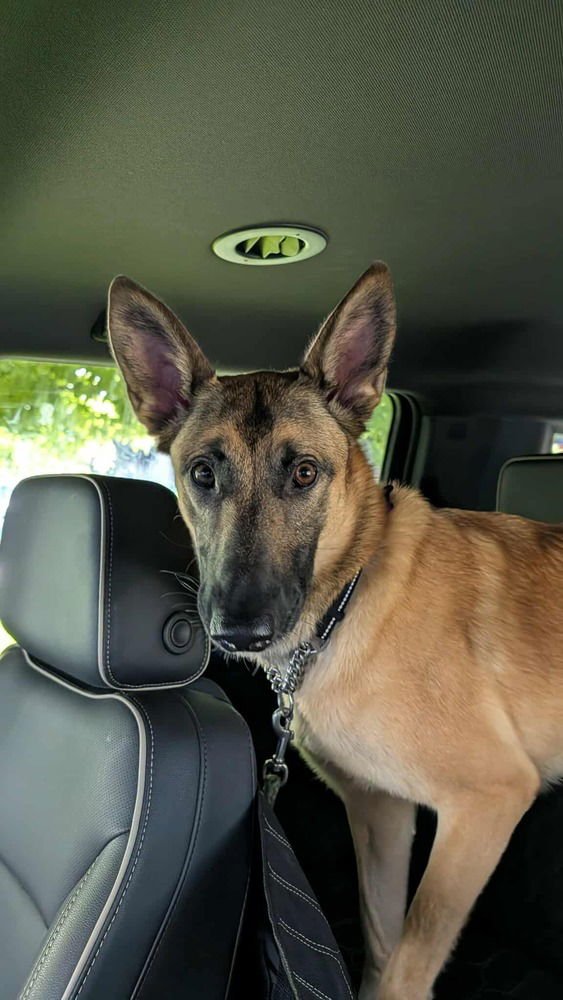 Sadie FKA Crater in CO - Photo 4