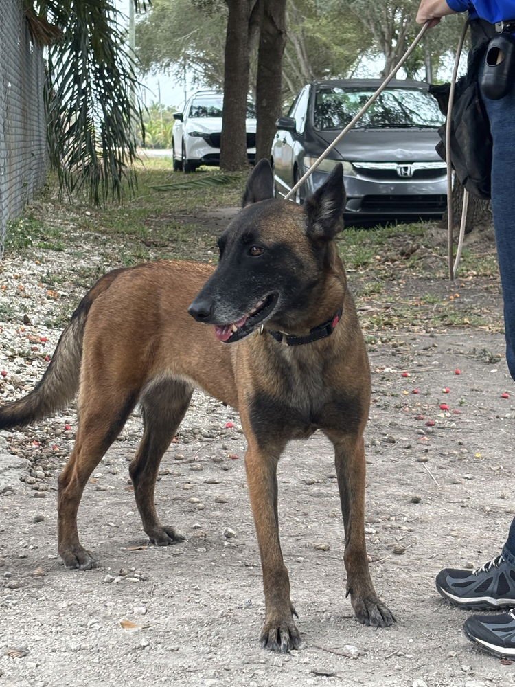 Berry - Located in Florida - Photo 3