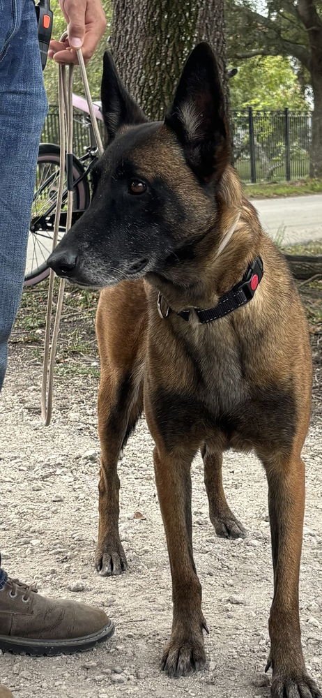 Berry - Located in Florida - Photo 4