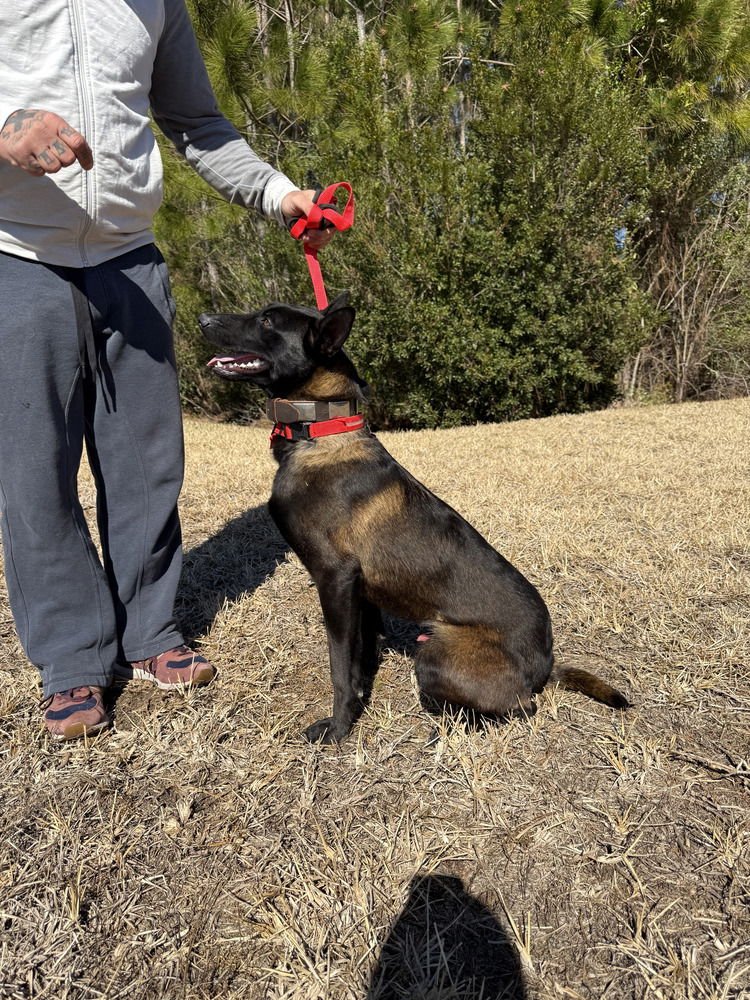 Bruce - located in Florida - Photo 3