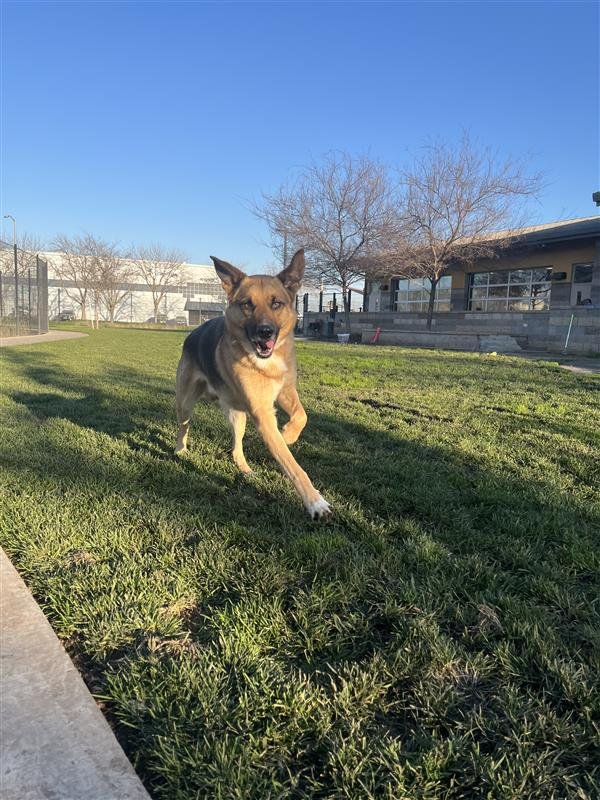 Dennis Feinstein - Photo 3