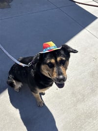 Moana - Photo 2