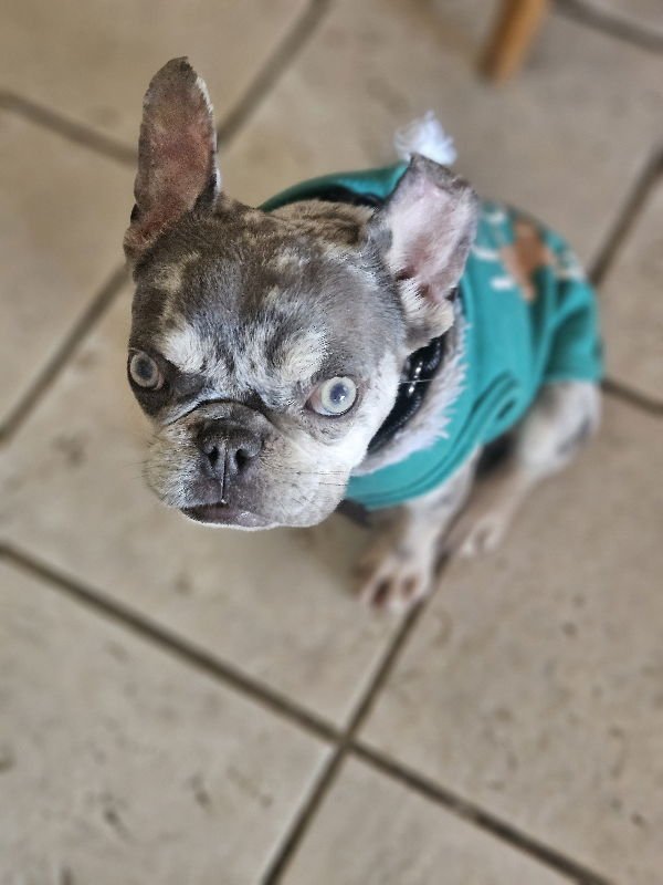 Wyatt (Special Needs) - Photo 5