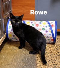 Rowe - Photo 1