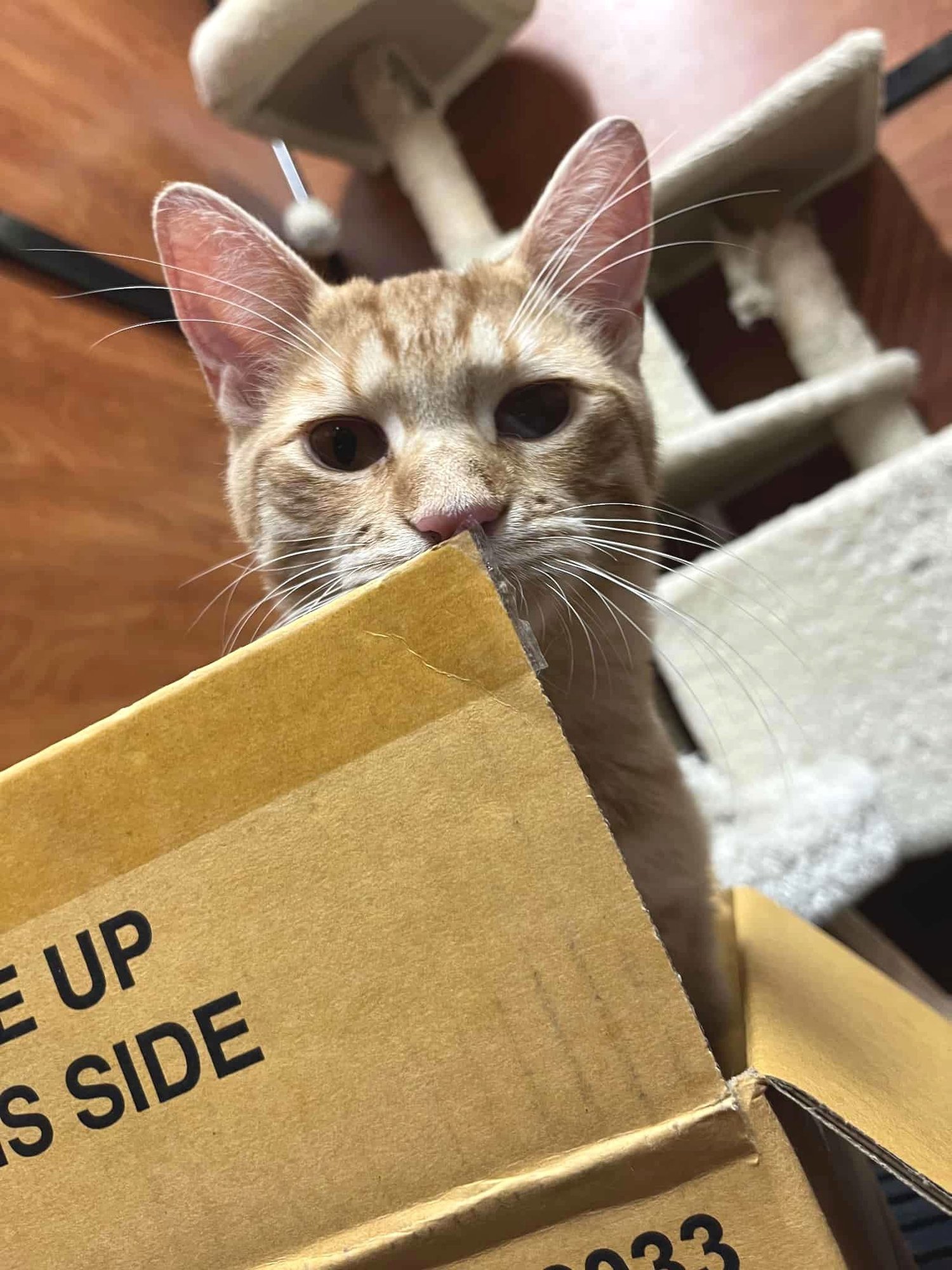 VIOLET MORGAN - Photo 6