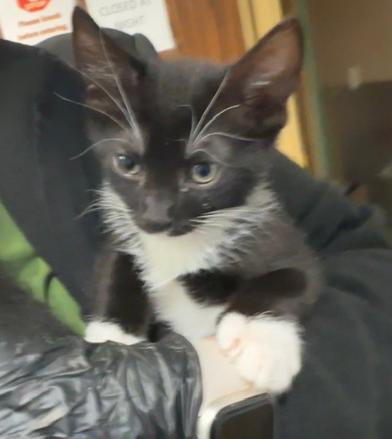 LARRY Image