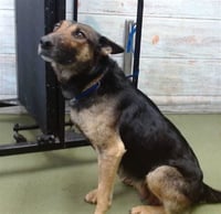 SALLY - Photo 1