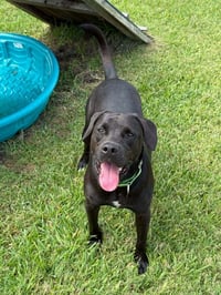 Popeye - Photo 2