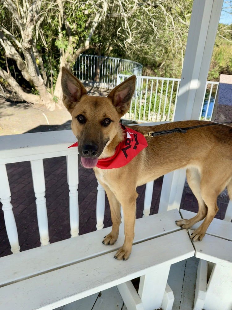 Finley - Photo 2