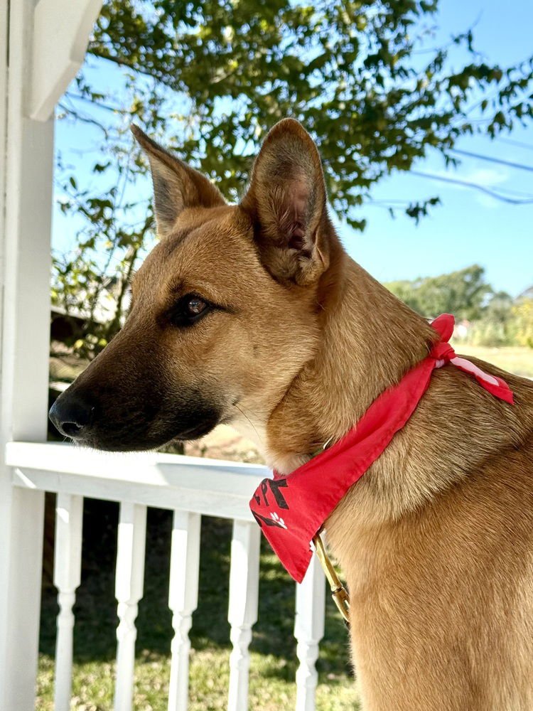 Finley - Photo 3