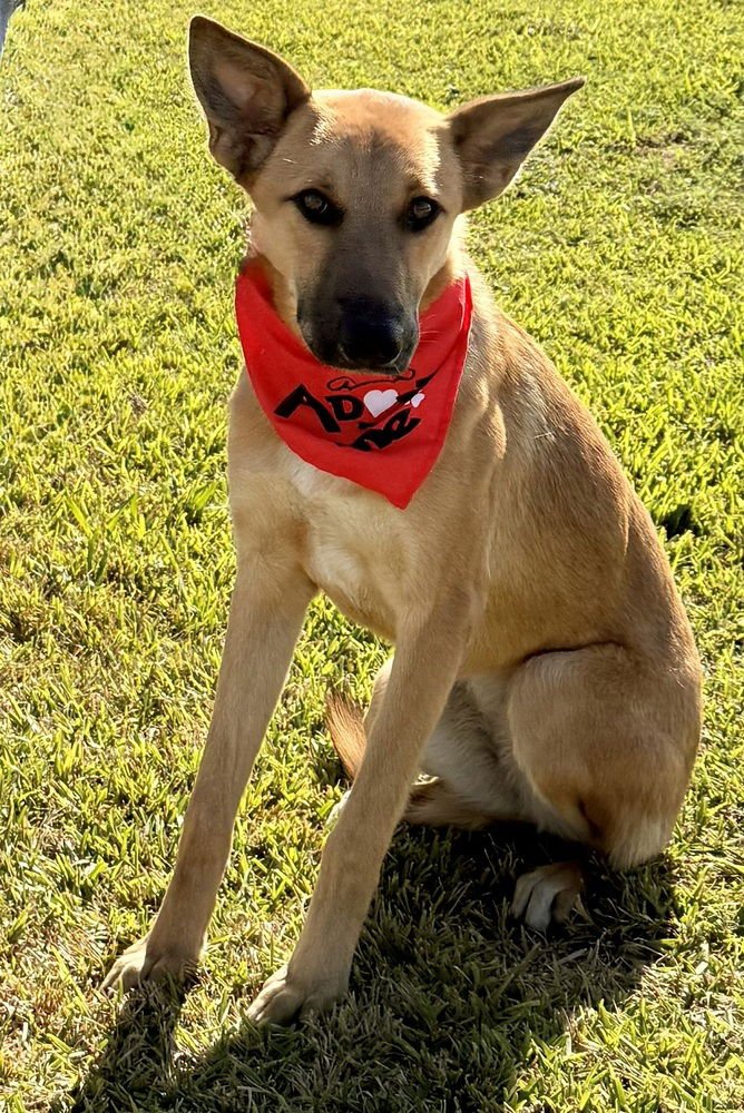 Finley - Photo 4