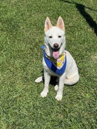 Max - Photo 1