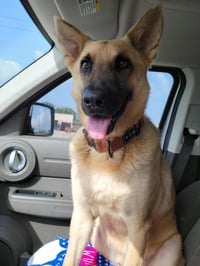 Irwin - Photo 4