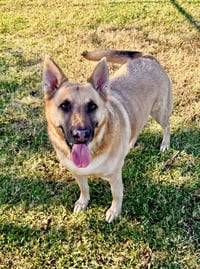 Irwin - Photo 3