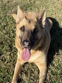 Irwin - Photo 2