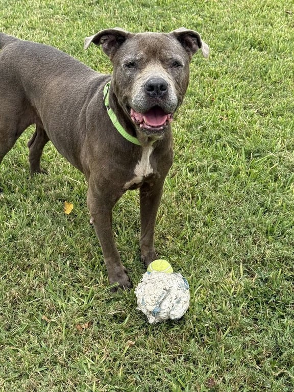 Maggie Image