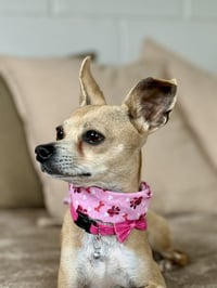 Ribblet - Photo 3