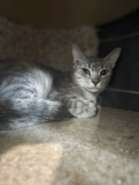 Tinky - Photo 1