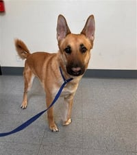VLAD - Photo 1