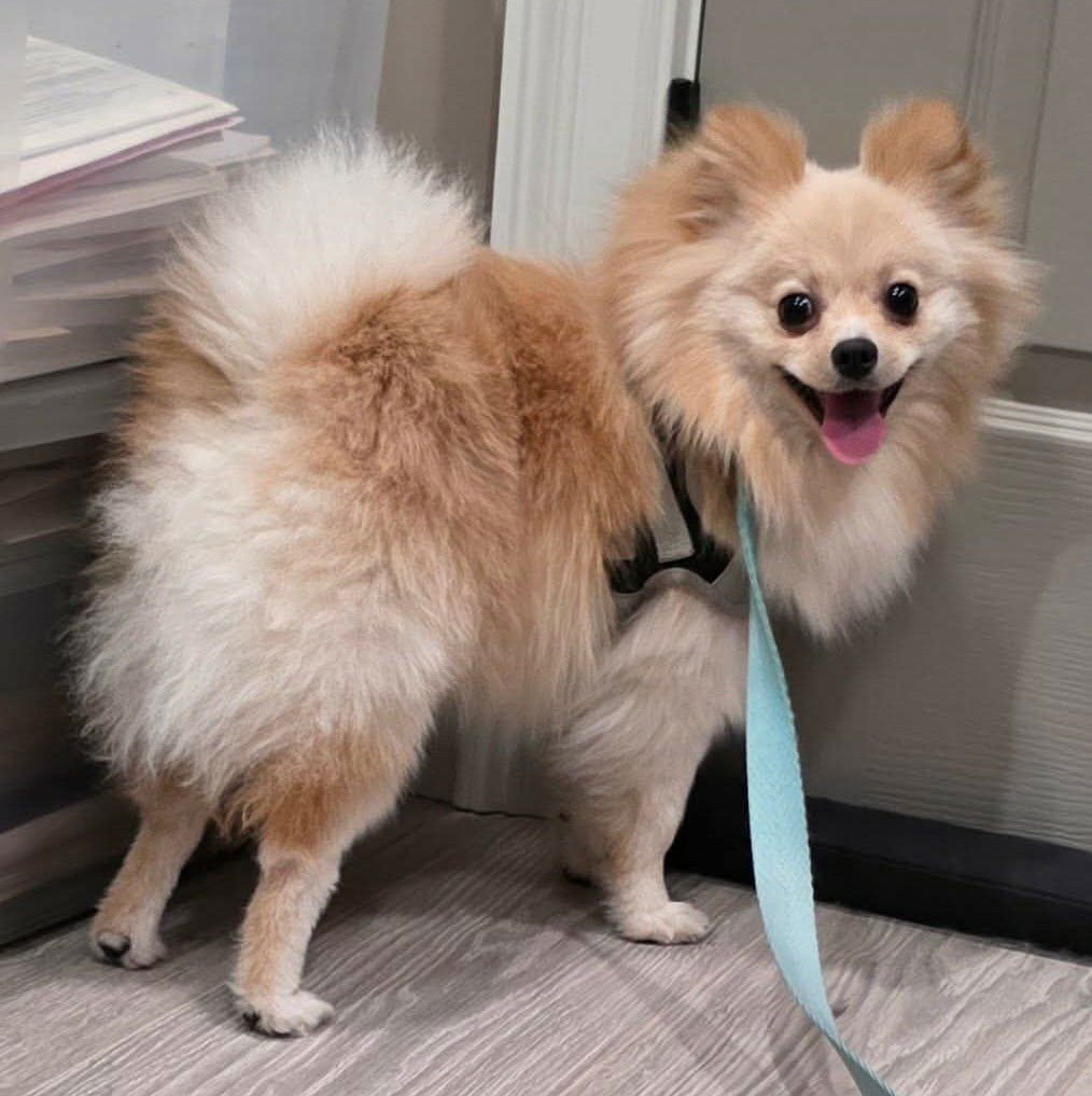 Hannah Marie - Photo 3