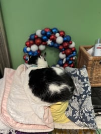 Albert Einstein - Photo 3