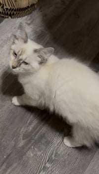 Winnie - Photo 2
