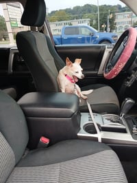 Lil Bit - Photo 5