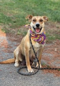 Nellie - Photo 2