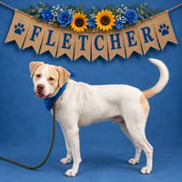 Fletcher - Photo 1