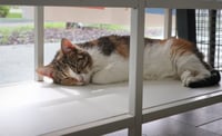 Penelope - Photo 1