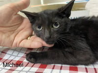 Mikkel - Photo 4
