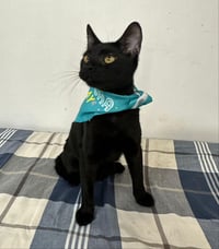 TODD - Photo 3