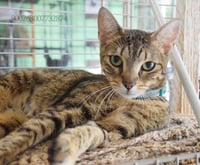CLEO - Photo 3