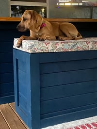 bella - Photo 6
