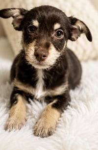 LULU - Photo 2