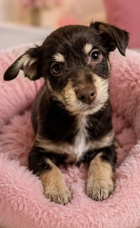 LULU - Photo 3