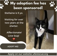 Stellaine - Photo 1